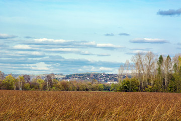 Naklejka premium fields with crap