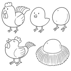 vector set of chicken and egg