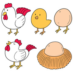 vector set of chicken and egg