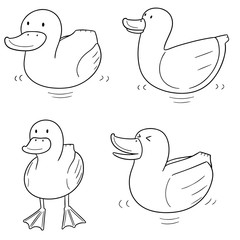 vector set of duck