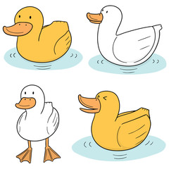 vector set of duck