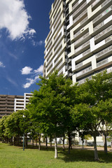 Fototapeta premium 幕張の高層マンション街