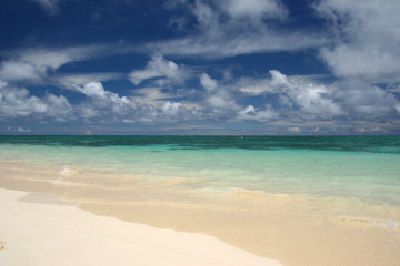 Obraz premium ハワイの海