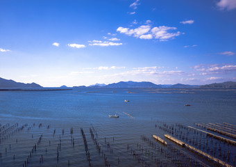 日本　広島県　牡蠣養殖