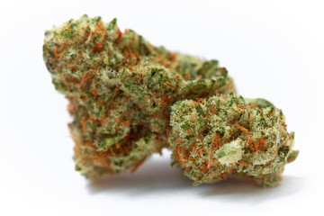 Close up of prescription medical marijuana strain Tahoe OG flower on white background