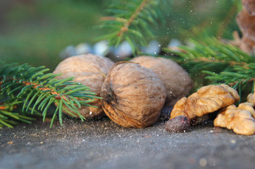 walnut and Christmas tree. pine nuts, hazelnut and an old lamp on a wooden background.
