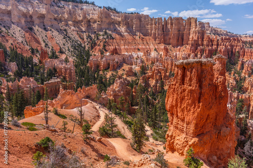 Beautiful Landscape Green Pine Trees On Rock Slopes Scenic View Of Beautiful Landscape Green Pine Trees On Rock Slopes Scenic View Of The Canyon