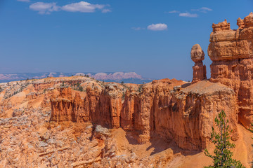 Beautiful landscape. Green pine-trees on rock slopes. Scenic view of the canyon. Bryce Canyon National Park. Utah. USA