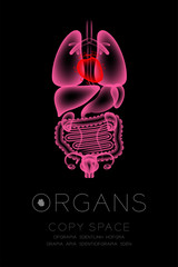 Female Organs X-ray set, Heart infection concept idea red color illustration isolated glow in the dark background, with Organ text icon and copy space
