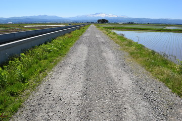 農業専用道路
