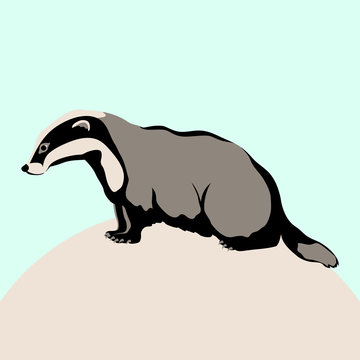 budger vector illustration flat style  profile side