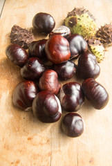 Castagne e ricci