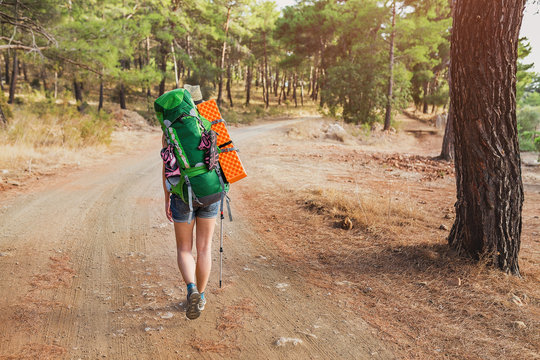 Alone girl tourist with backpack travelling in a pine forest by Lycian Way, Turkey