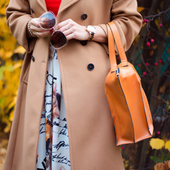 Bag in female hands closeup. Sunglasses in the hands woman. Fashion ladies accessories, bracelets,...