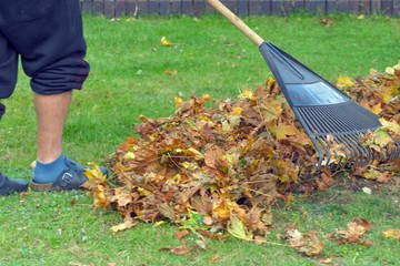 Im Herbst wird Laub zusammen geharkt 