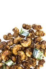 Pile Bug Cicada larva roasted with herb pandan leaves. Is the most expensive fried insects because it is tasty and rare. isolated on white background.