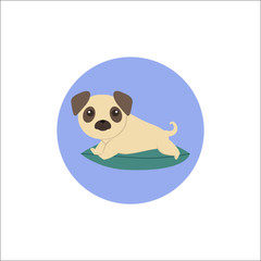 Мопс на подушке