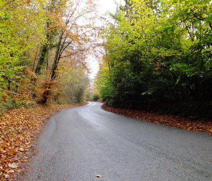 Winding Through Autumn