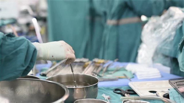 Scrub nurse preparing bio prosthetic heart valve 