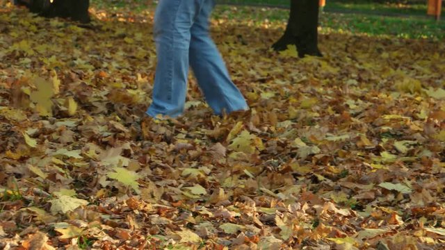 A woman is walking on the ground, covered in yellow autumn leaves in the park