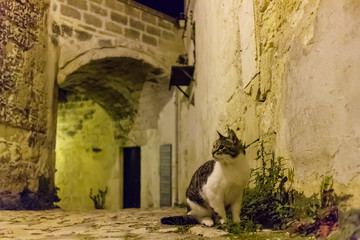 イタリア、マテーラの洞窟住居、サッシ