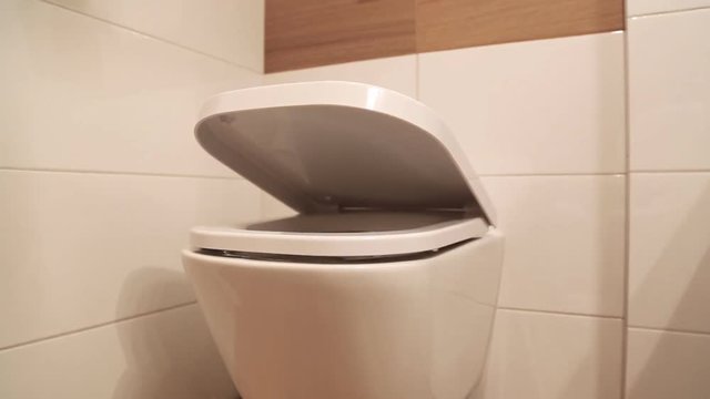 Hanging toilet with soft closing toilet seat lid hinge.