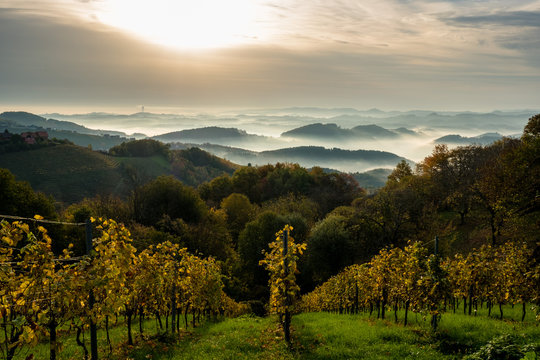 Sonnenaufgang &uuml;ber den Weinbergen in der S&uuml;dsteiermark mit Nebelschwaden zwischen den H&uuml;geln