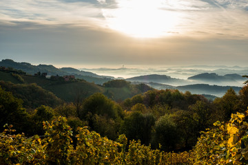 Sonnenaufgang &uuml;ber den Weinbergen in der S&uuml;dsteiermark mit Nebelschwaden zwischen den H&uuml;geln