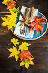 Autumnal concept with yellow leaves