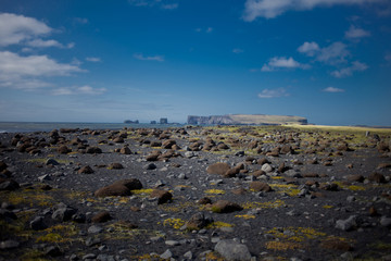 Fototapeta na wymiar Iceland, black beaches. Beautiful landscape