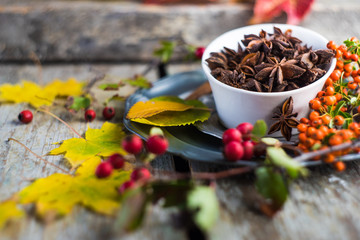 Autumnal concept with yellow leaves