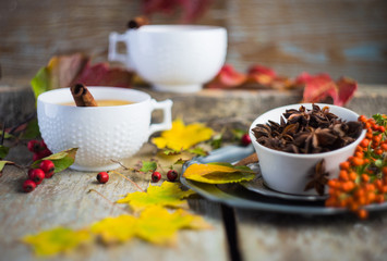 Autumnal concept with yellow leaves