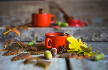 Autumnal concept with yellow leaves