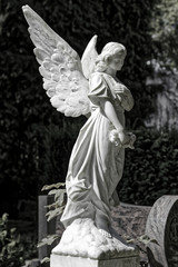 angel on a grave for condolence card