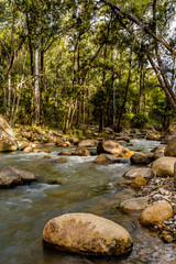 Peaceful creek scene