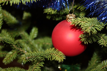 christmas tree card background