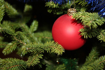 christmas tree card background