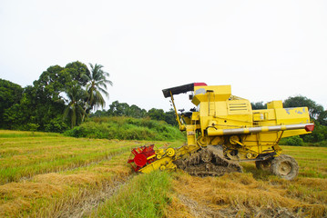 Fototapeta premium Rice Planting Machine At Rice Field