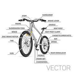 Vector Mountain Bicycle infographics.