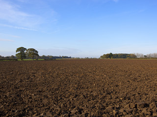 autumn trees and plow soil