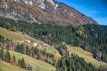 Solcava Panoramic Road in Autumn © zkbld