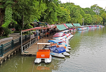 Obraz premium Landscape View of Colorful Pedal Boats in The Swamp