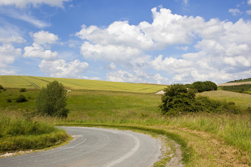 Fototapeta na wymiar curved country road