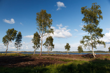 Obraz premium Limfjord Fjord Denmark