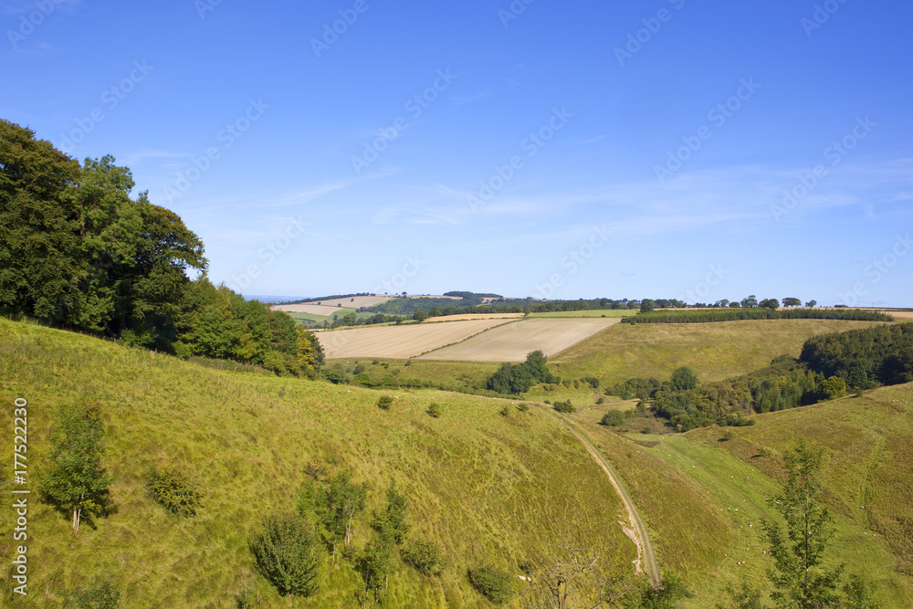 Wall mural valley with livestock