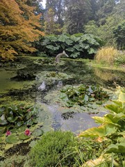 Whale sculpture in a country garden pond