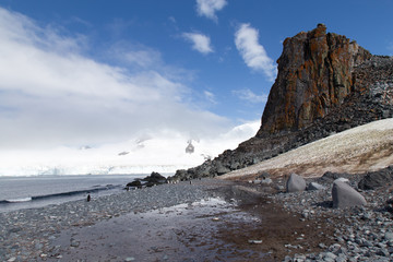 Penguins nest on the rocks with a backdrop of mountains and snow.