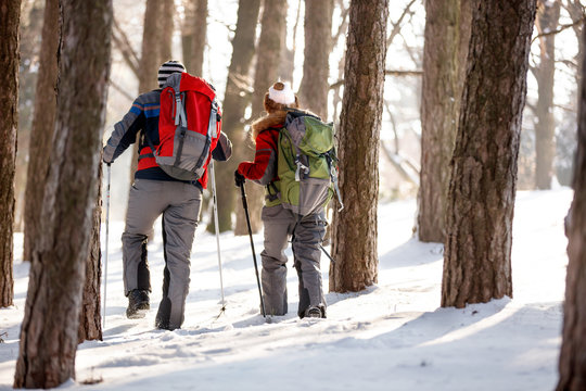 Hikers with backpacks in forest