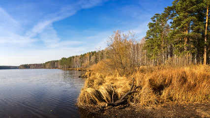осенний пейзаж на берегу реки с лесом и камышом Россия, Урал, © 7ynp100