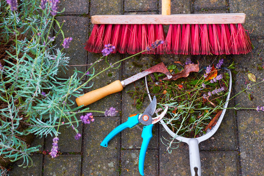 Garden Cleaning